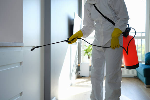 Best Residential Mold Removal  in Point Roberts, WA