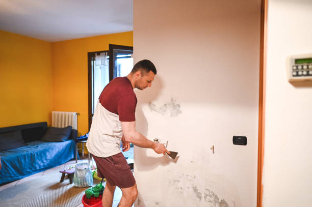Best Mold Damage Repair  in Point Roberts, WA